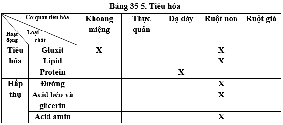 Hãy đánh dấu “x” vào ô trống thích hợp trong bảng 35-5. Tiêu hoá (ảnh 1)