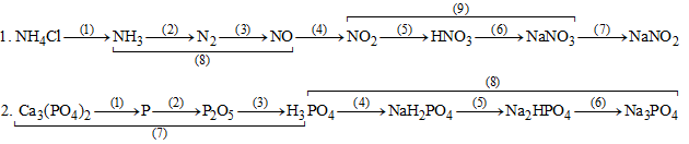 Viết các phương trình hóa học thực hiện các dãy chuyển hóa sau (ảnh 1)
