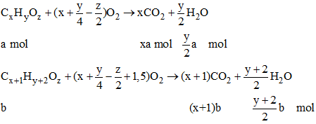 Hỗn hợp M ở thể lỏng, chứa hai hợp chất hữu cơ kế tiếp nhau trong một dãy đồng đẳng (ảnh 1)
