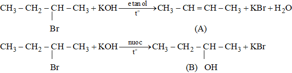 Viết phương trình hoá học của các phản ứng thực hiện các biến hoá dưới đây (ảnh 1)