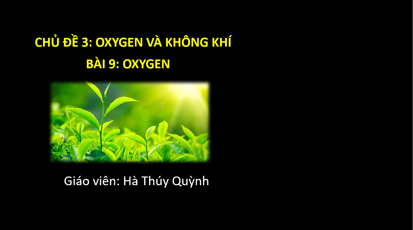 Giáo án điện tử Oxygen  | Bài giảng PPT KHTN 6 Chân trời sáng tạo (ảnh 1)