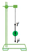 Vẽ các lực cân bằng tác dụng lên quả cầu (Hình 9.3). Các lực này do những vật nào gây ra (ảnh 1)