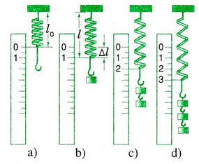 Lực của lò xo ở Hình 12.2b có độ lớn bằng bao nhiêu (ảnh 1)