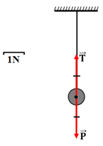 Nêu những đặc điểm (về phương, chiều, điểm đặt ) của lực đàn hồi của (ảnh 1)