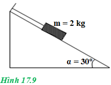 Một vật có khối lượng m = 2 kg được giữ yên trên một mặt phẳng nghiêng bởi một sợi dây (ảnh 1)
