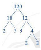 Làm thế nào để viết số 120 thành tích của các thừa số nguyên tố (ảnh 1)