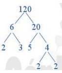 Làm thế nào để viết số 120 thành tích của các thừa số nguyên tố (ảnh 1)
