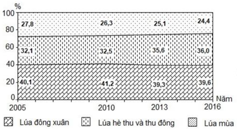 nhận xét nào sau đây không đúng về sự thay đổi tỉ trọng trong cơ cấu diện tích lúa  (ảnh 1)