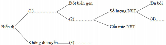 Hoàn thành sơ đồ sau (ảnh 1)