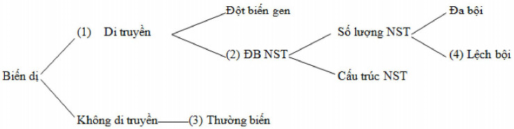 Hoàn thành sơ đồ sau (ảnh 1)