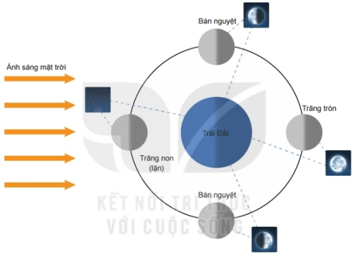 Lý thuyết Bài 53: Mặt trăng- Kết nối tri thức (ảnh 1)
