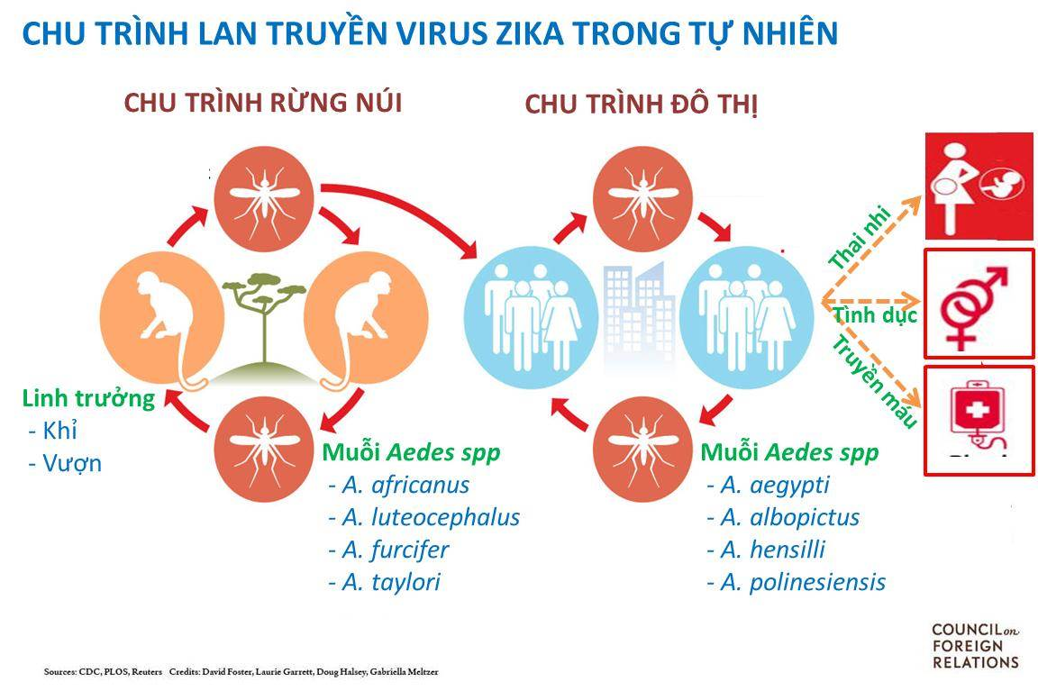 Lý thuyết Bệnh truyền nhiễm và miễn dịch | Sinh học lớp 10 (ảnh 1)