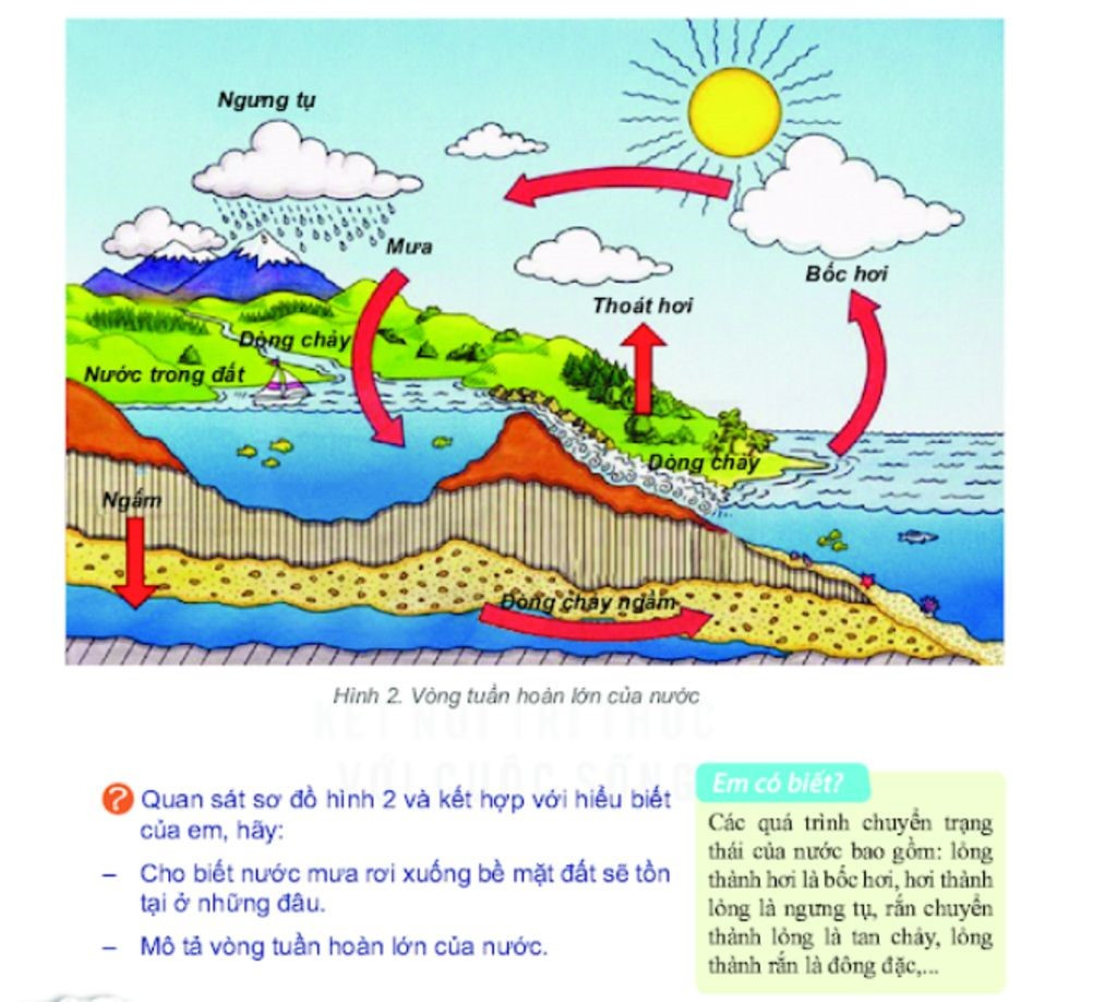 Lý thuyết Địa lí 10 Bài 10: Thủy quyển. Nước trên lục địa - Cánh diều (ảnh 1)
