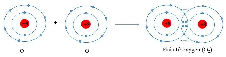 Lý thuyết Hóa học 10 Bài 10: Liên kết cộng hóa trị - Chân trời sáng tạo (ảnh 1)