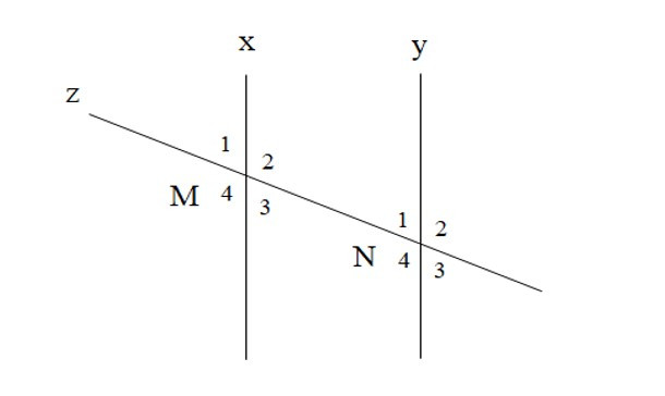 Tiên đề Euclid. Tính chất của hai đường thẳng song song (Lý thuyết + Bài tập Toán lớp 7) – Kết nối tri thức (ảnh 1)