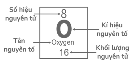 TOP 10 câu Trắc nghiệm Sơ lược về bảng tuần hoàn các nguyên tố hóa học có đáp án - Khoa học tự nhiên lớp 7 Chân trời sáng tạo (ảnh 1)