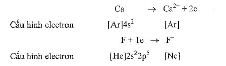 Sách bài tập Hóa học 10 Bài 10 (Cánh diều): Liên kết ion  (ảnh 1)