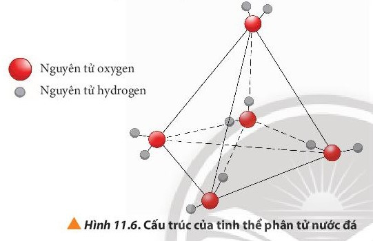 Lý thuyết Hóa học 10 Bài 11: Liên kết hydrogen và tương tác van der waals - Chân trời sáng tạo (ảnh 1)