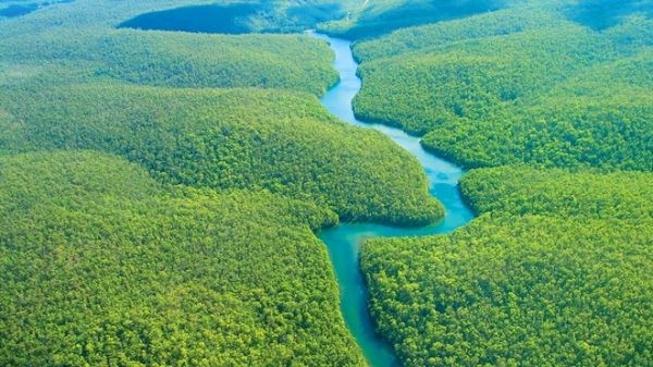 Lý thuyết Địa Lí 7 Bài 18: Vấn đề khai thác, sử dụng và bảo vệ rừng A-ma-dôn - Chân trời sáng tạo (ảnh 1)