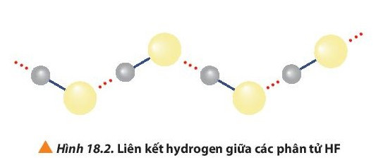 Lý thuyết Hóa học 10 Bài 18: Hydrogen halide và một số phản ứng của ion halide - Chân trời sáng tạo (ảnh 1)