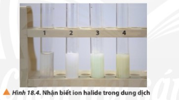 Lý thuyết Hóa học 10 Bài 18: Hydrogen halide và một số phản ứng của ion halide - Chân trời sáng tạo (ảnh 1)