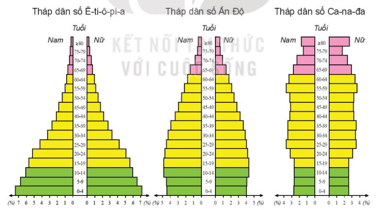 Lý thuyết Địa lí 10 Bài 19: Quy mô dân số, gia tăng dân số, cơ cấu dân số thế giới - Kết nối tri thức  (ảnh 1)