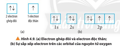 Lý thuyết Hóa học 10 Bài 4: Cấu trúc lớp vỏ electron của nguyên tử - Chân trời sáng tạo (ảnh 1)