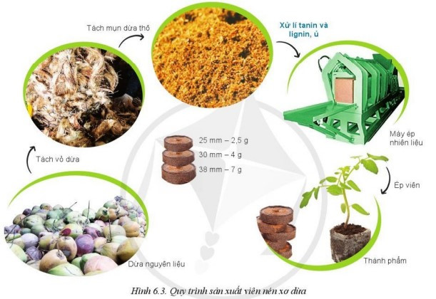 Lý thuyết Công nghệ 10 Bài 6: Ứng dụng công nghệ cao trong sản xuất một số giá thể trồng cây - Cánh diều  (ảnh 1)