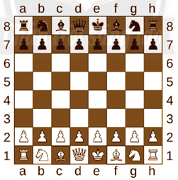 Bàn cờ vua gồm 8 hàng (đánh số từ 1 đến 8) và 8 cột (đánh các chữ cái từ a đến h) (ảnh 1)