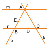 Trong hình bên, em hãy chỉ ra:  a) Những điểm nào thuộc đường th (ảnh 1)