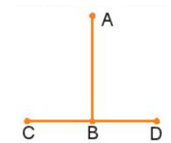Hãy ước lượng để so sánh độ dài các đoạn thẳng AB và CD trong các hình (ảnh 1)