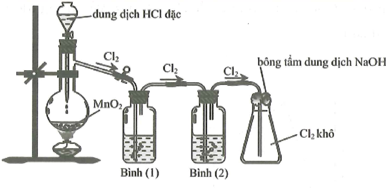 Cho thí nghiệm mô tả thí nghiệm điều chế khí Cl2 từ MnO2 và dung dịch HCl Cho các phát biểu sau a Bình1 để hấp thụ khí HCl, bình 2 để hấp thụ hơi nước b Có thể đổi vị trí của bình 1 và bình 2 cho nhau (ảnh 1)