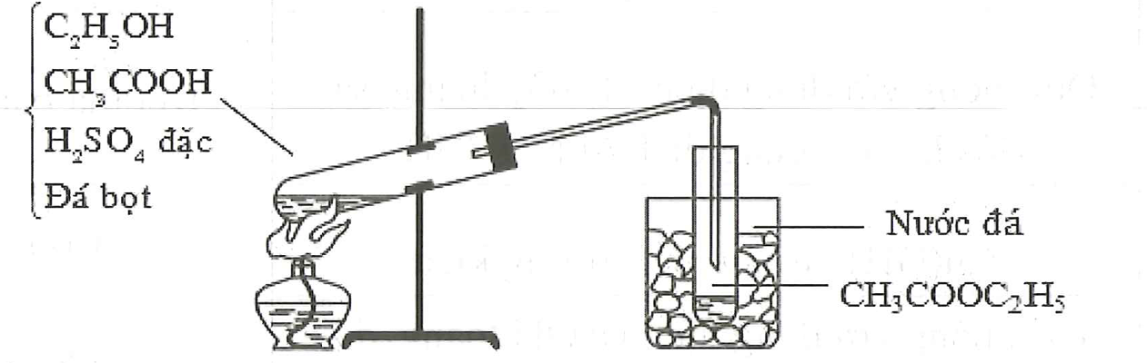 Điều chế este CH3COOC2H5 trong phòng thí nghiệm được mô tả theo hình vẽ sau Cho các phát biểu sau (ảnh 1)