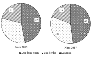 Cho biểu đồ sau: Cơ cấu sản lượng lúa của nước ta năm 2015 và năm 2017 (%) (ảnh 1)