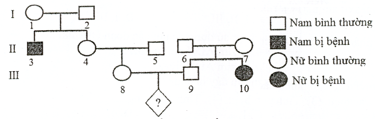 Sơ đồ phả hệ sau đây mô tả sự di truyền của một bệnh ở người do 1 trong 2 alen của một gen qui định. (ảnh 1)