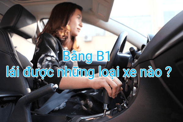 Bằng lái xe B1 (giấy phép lái xe) số tự động được phép điều khiển những loại xe gì? Có thời hạn trong bao lâu? (ảnh 1)