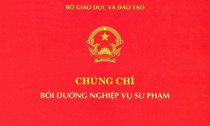 Chứng chỉ nghiệp vụ sư phạm là gì? Học chứng chỉ nghiệp vụ sư phạm ở đâu? Mới nhất [Năm 2023] (ảnh 1)