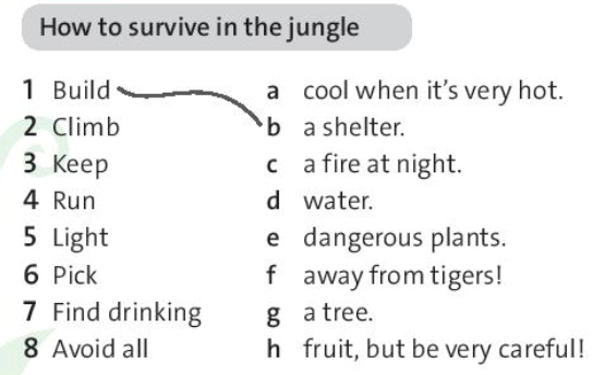 SBT Tiếng Anh 7 trang 38 Unit 6: Vocabulary: Survival verbs – Friend plus Chân trời sáng tạo (ảnh 1)