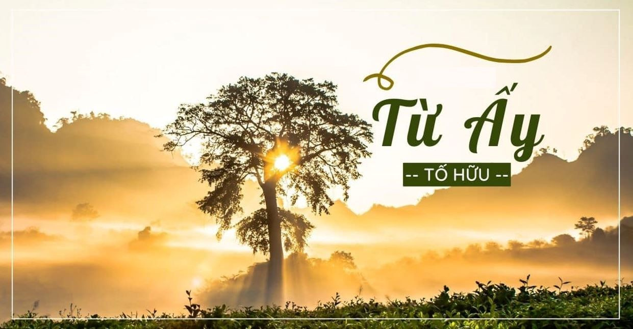 TOP 35 mẫu Cảm nhận Từ ấy (2026) SIÊU HAY (ảnh 1)
