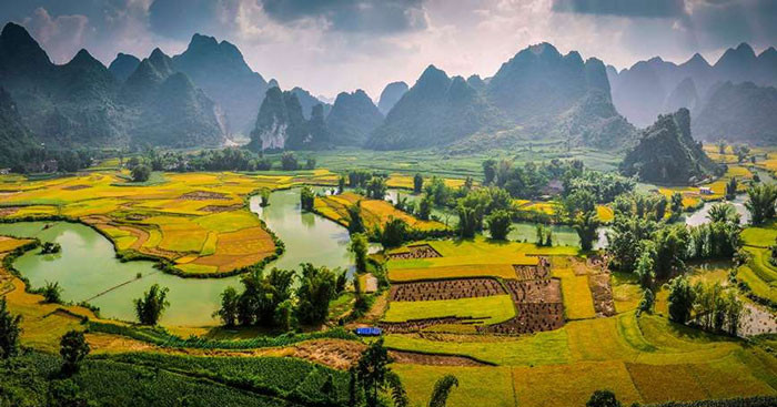 TOP 30 mẫu Phân tích bút pháp nghê thuật và cảm hứng lãng mạn qua bài thơ Tây Tiến (2026) SIÊU HAY (ảnh 1)