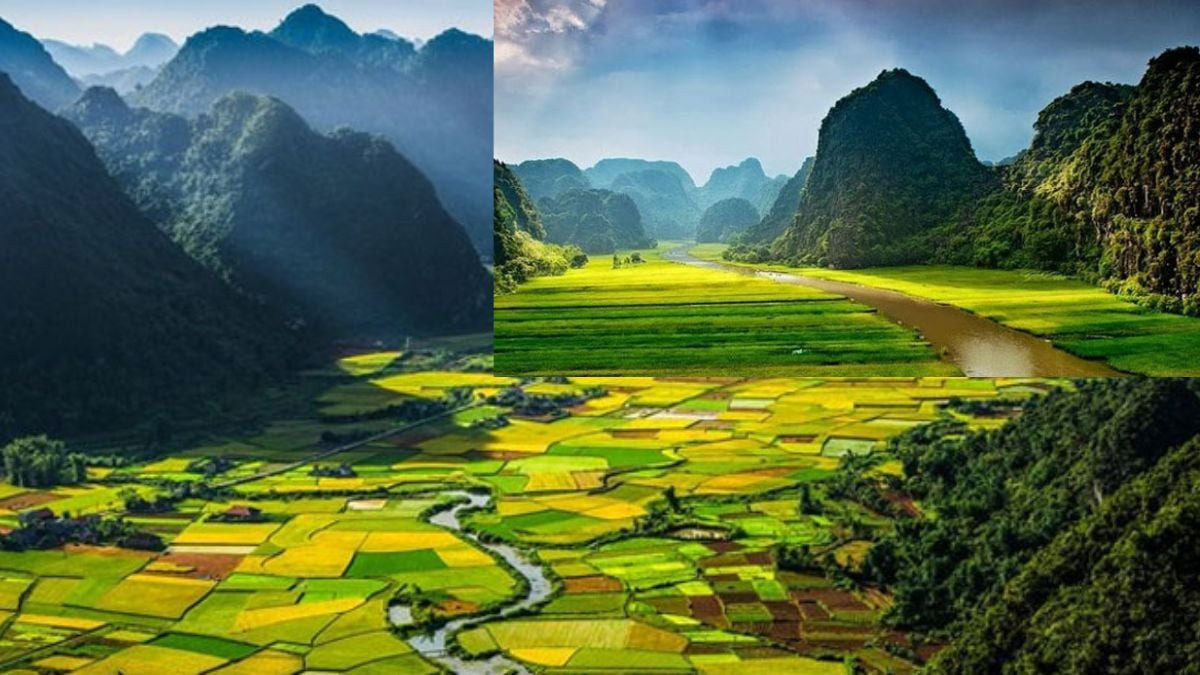 TOP 15 mẫu Kết bài Đất nước Nguyễn Khoa Điềm (2026) SIÊU HAY (ảnh 1)