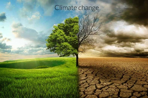 TOP 10 mẫu Nghị luận về hiện tượng biến đổi khí hậu (2023) SIÊU HAY (ảnh 1)
