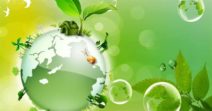 TOP 10 mẫu Thuyết minh giải thích một hiện tượng tự nhiên mà bản thân quan tâm (2023) SIÊU HAY (ảnh 1)