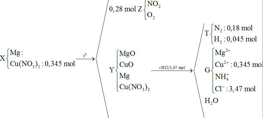 Nung hỗn hợp X gồm a gam Mg và 64,86 gam Cu(NO3)2, sau một thời gian, thu được chất rắn Y và (ảnh 1)