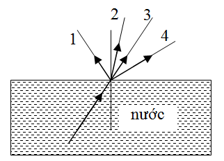 Đường nào trong hình vẽ là đường truyền của tia sáng đi từ nước ra không khí (ảnh 1)