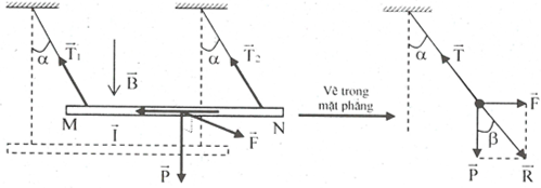 Các dạng bài tập lực từ và cách giải – Vật lý lớp 11 (ảnh 1)