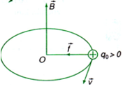 Bài tập về lực lo – ren – xơ và cách giải – Vật lý lớp 11  (ảnh 1)