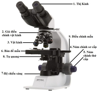 Công thức tính số bội giác của kính hiển vi hay, chi tiết - Vật lý lớp 11 (ảnh 1)