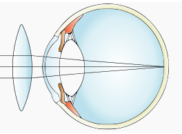 Công thức về mắt hay, chi tiết - Vật lý lớp 11 (ảnh 1)