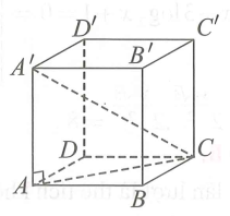 Tính thể tích V của khối lập phương abcd a b c d  biết  ac a 3 (ảnh 1)